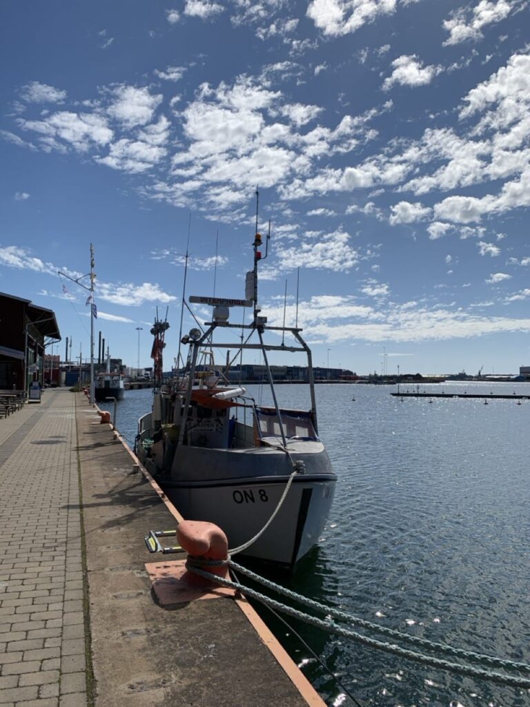 Oskarshamn-3 - stor