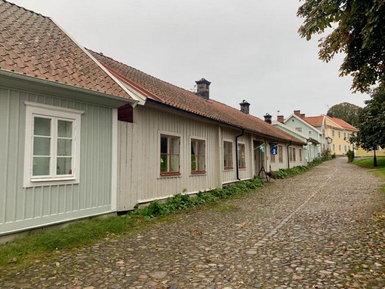 Skänninge-1 – stor